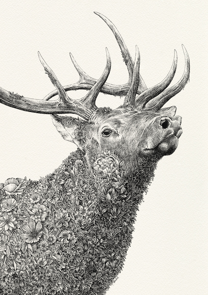 Elk - Giclée Print