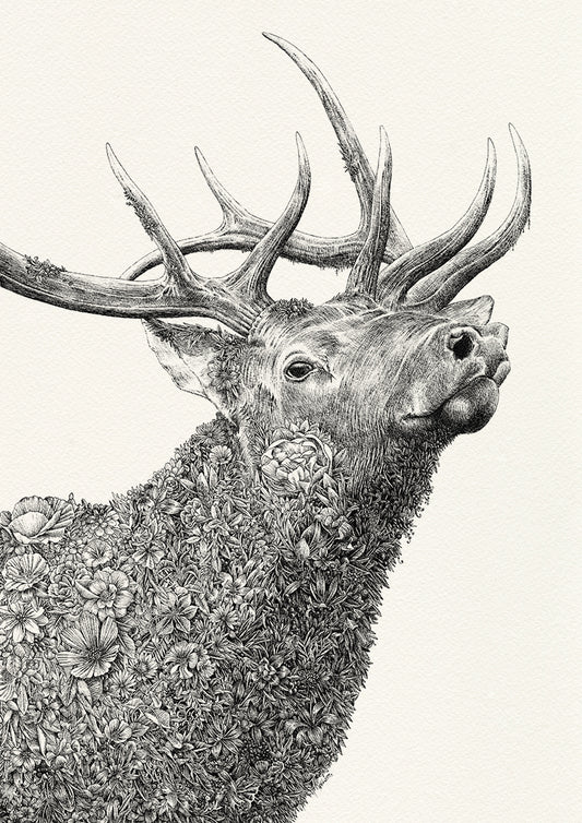Elk - Giclée Print