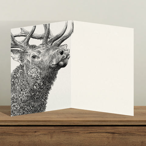 Elk - Greeting Cards