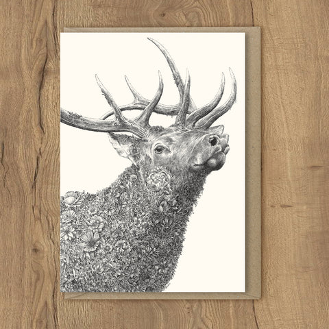 Elk - Greeting Cards