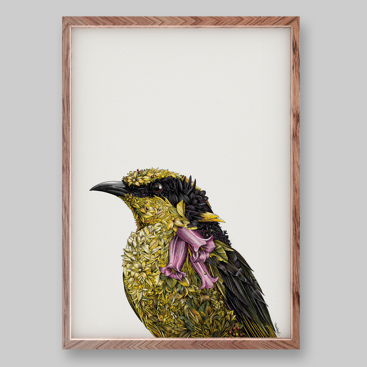 Helmeted Honeyeater - Giclée Print