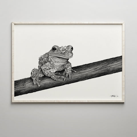 Frog Bushwalk - Giclée Print