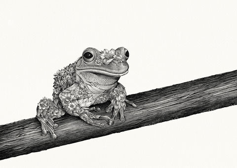 Frog Bushwalk - Giclée Print