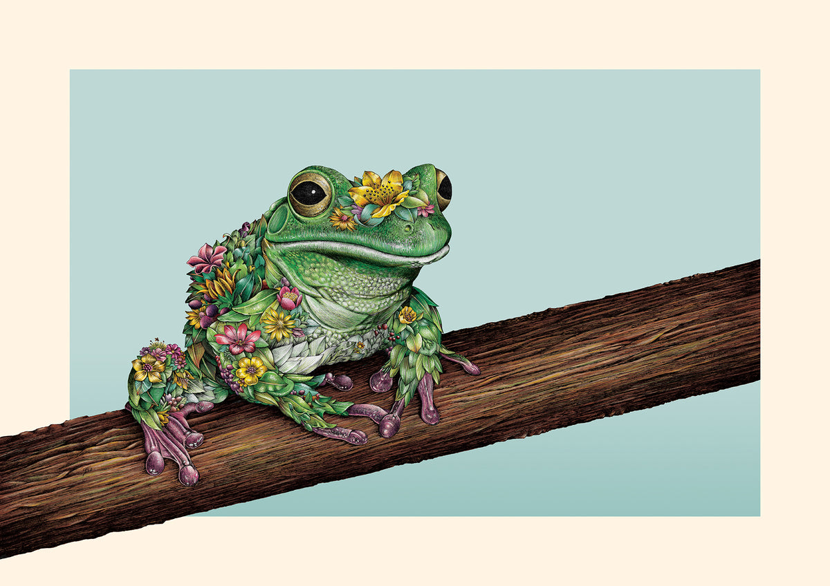 Frog Bushwalk - Giclée Print