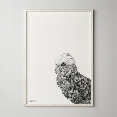 Galah Bushwalk - Giclée Print