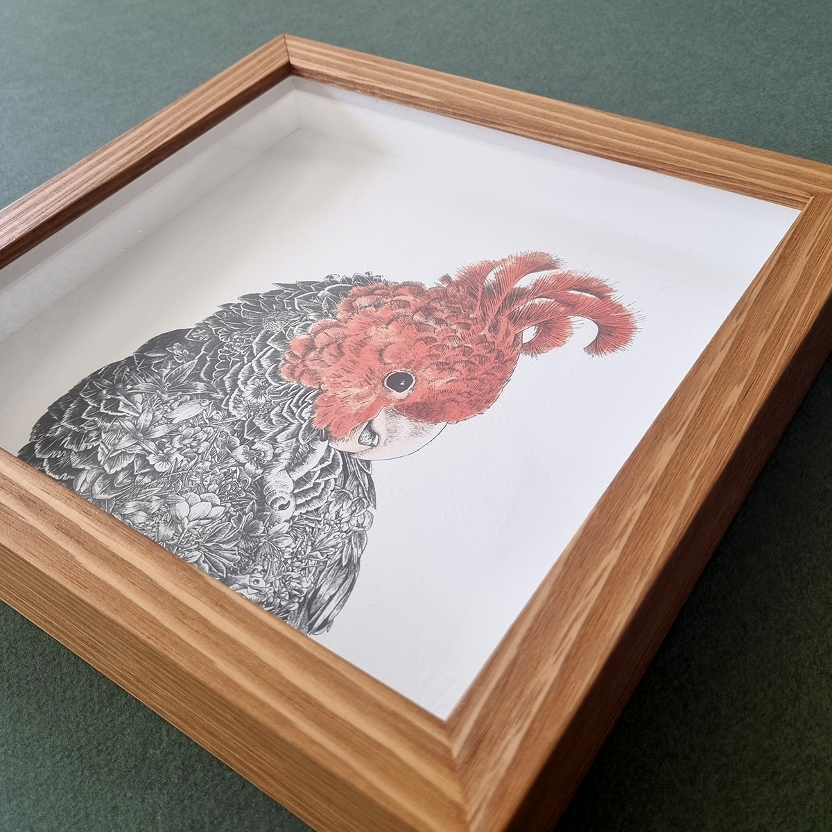 Gang-Gang Cockatoo – Framed Print