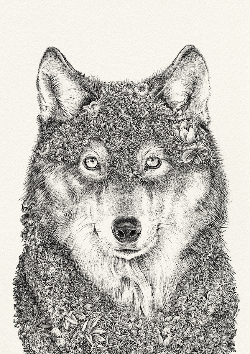 Gray Wolf - Giclée Print