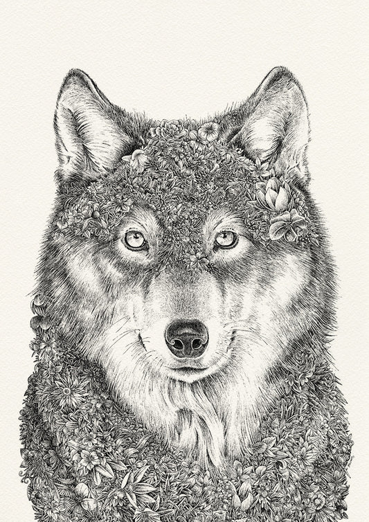Gray Wolf - Giclée Print