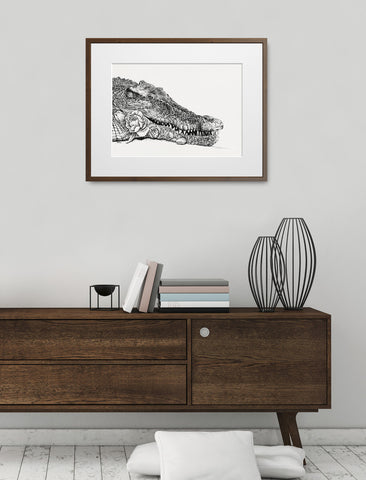 Australian Saltwater Crocodile - Giclée Print