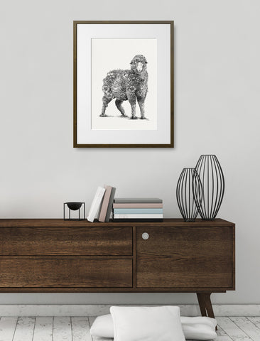 Molly Brown (sheep) - Giclée Print