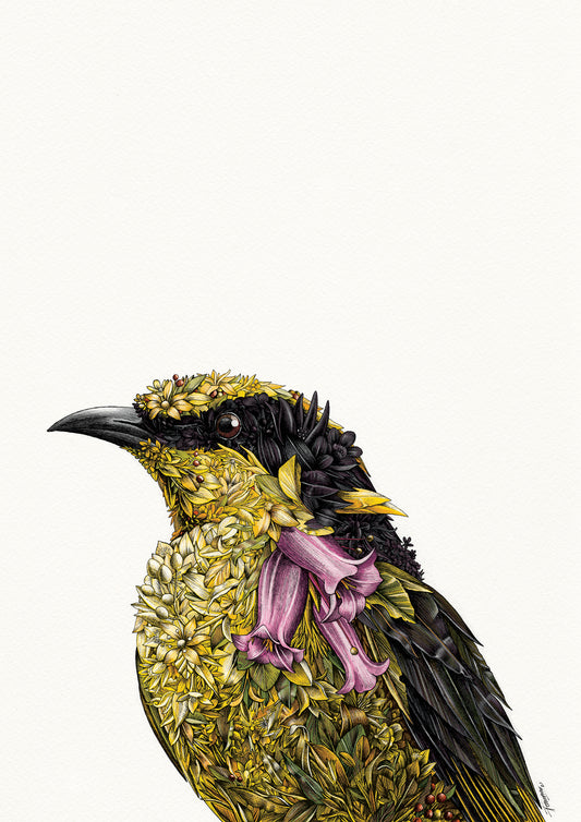 Helmeted Honeyeater - Giclée Print