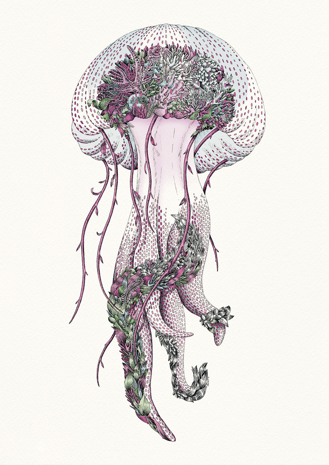 Mauve Jellyfish - Giclée Print
