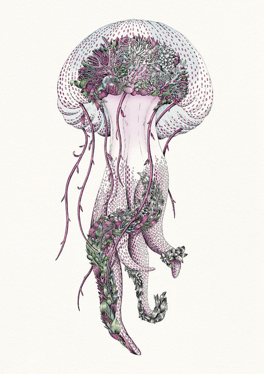 Mauve Jellyfish - Giclée Print