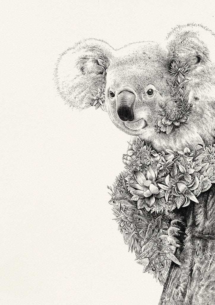 Koala - Giclée Print