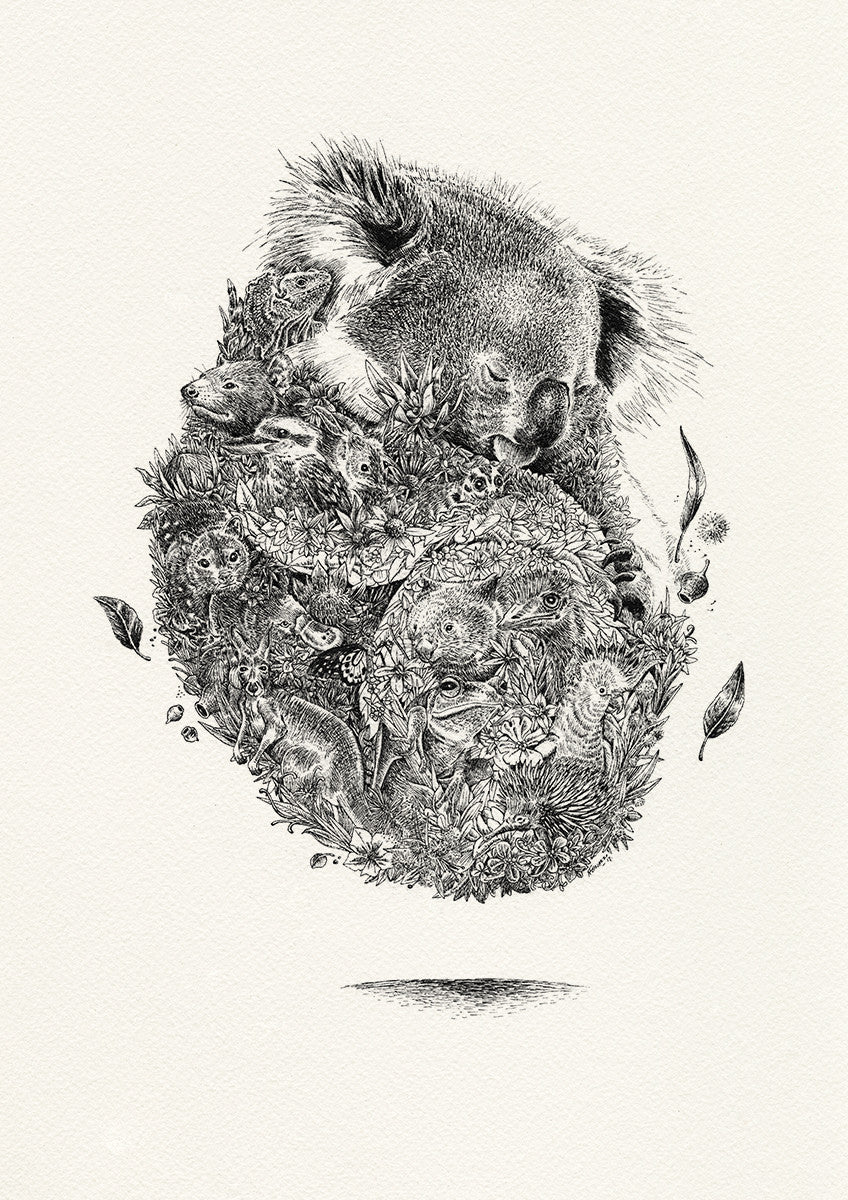 Koala & Friends - Giclée Print