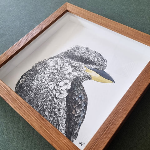Laughing Kookaburra – Framed Print
