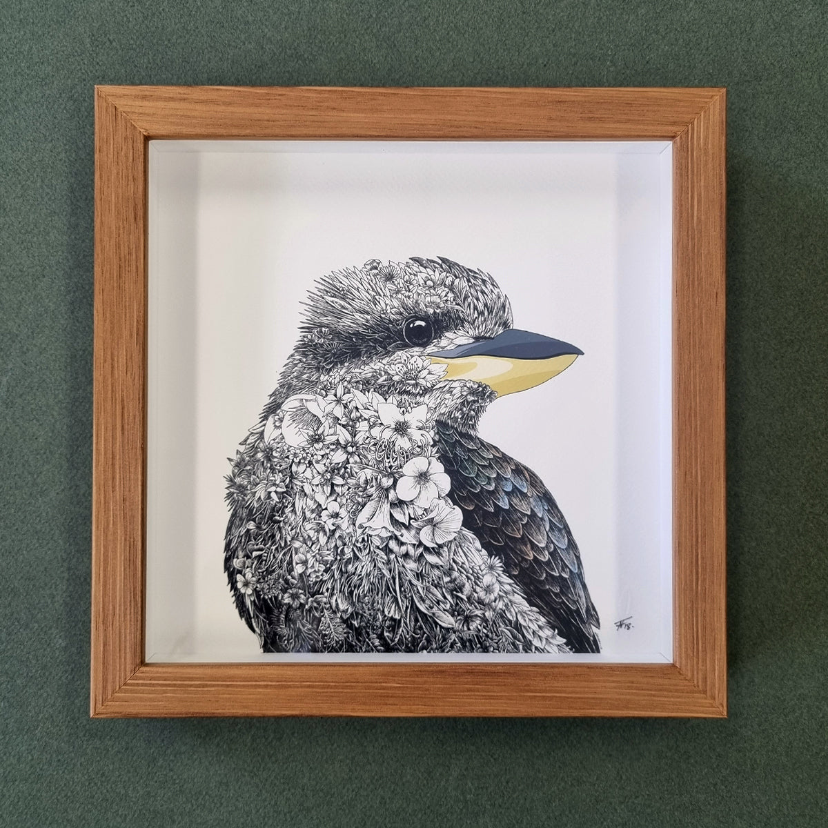 Laughing Kookaburra – Framed Print