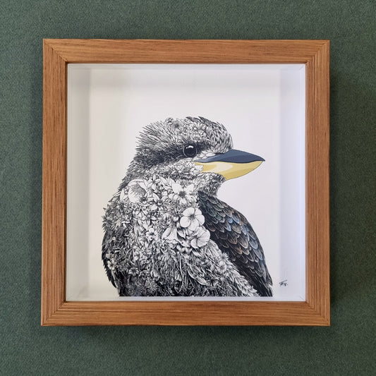 Laughing Kookaburra – Framed Print