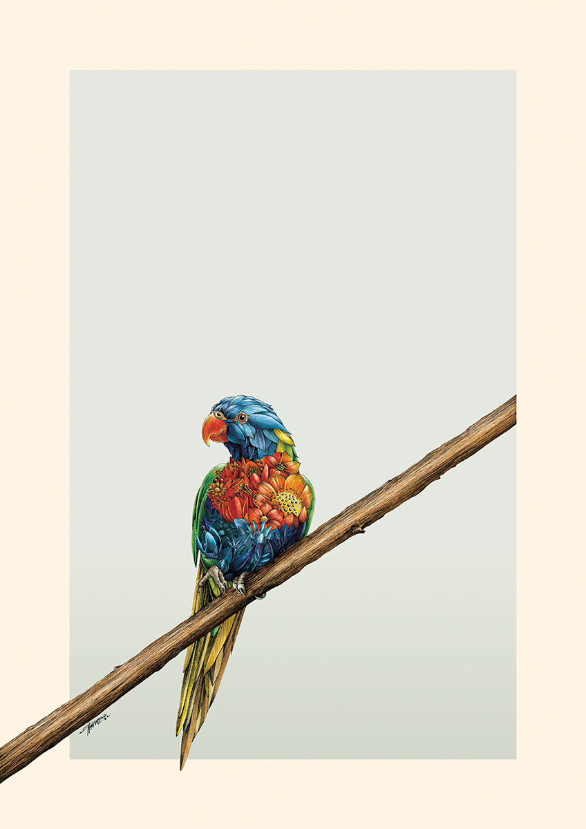 Rainbow Lorikeet - Giclée Print