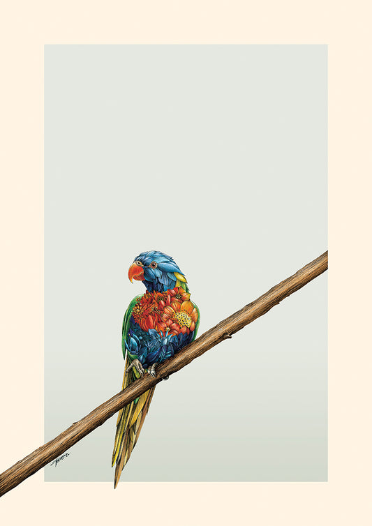Rainbow Lorikeet - Giclée Print