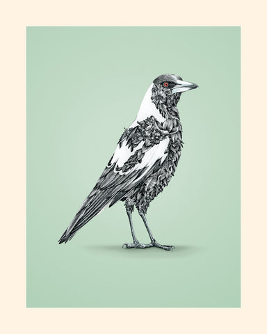 Magpie – Giclee Print