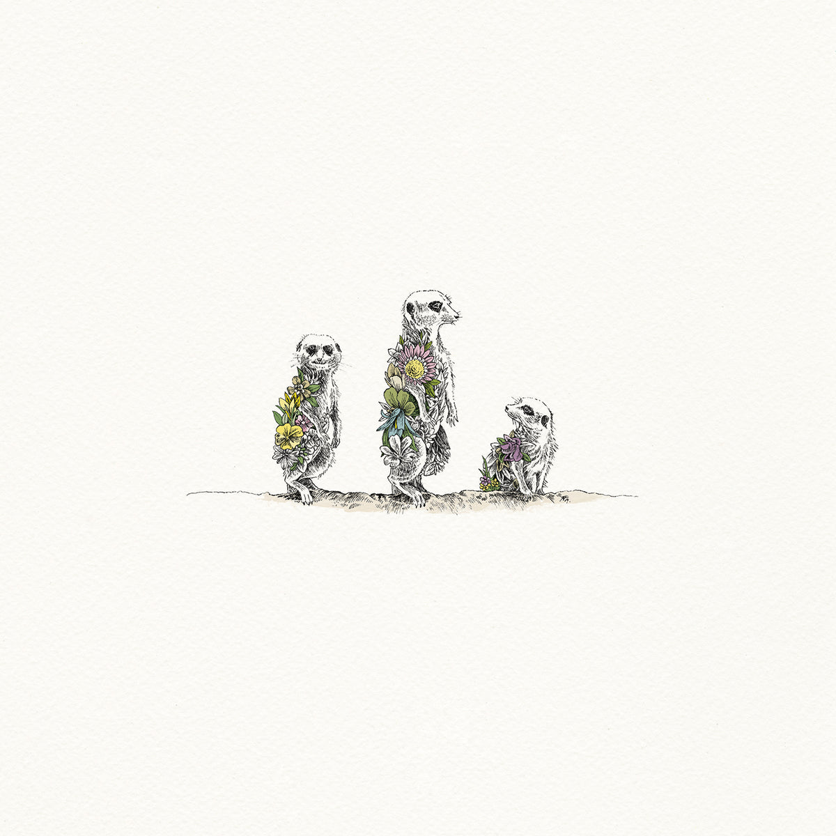 Meerkats - Artist Proof