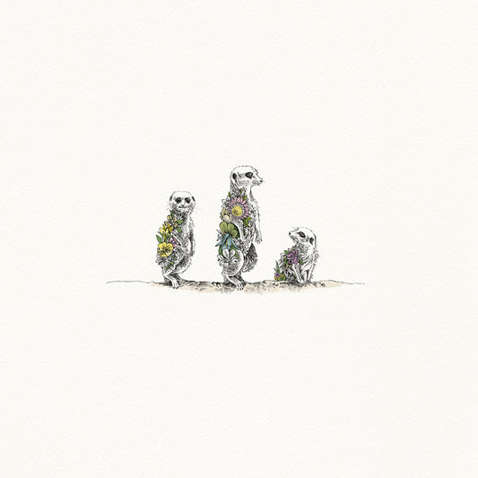 Meerkats - Artist Proof