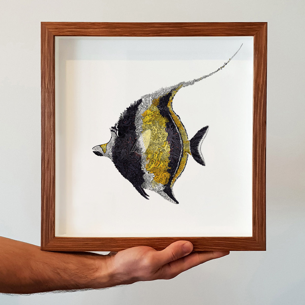 Moorish Idol - Giclée Print