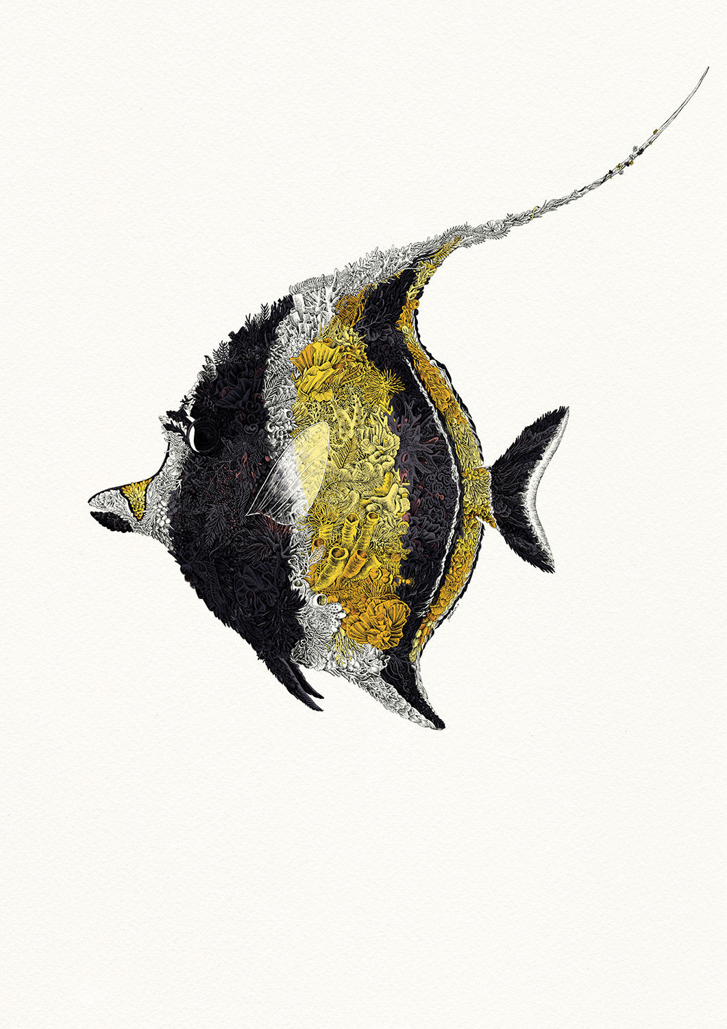 Moorish Idol - Giclée Print