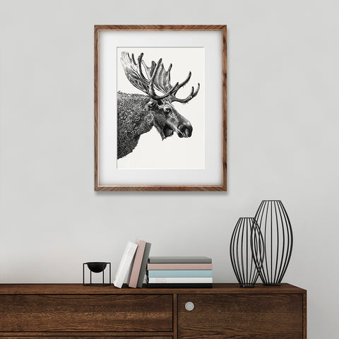 Moose - Giclée Print