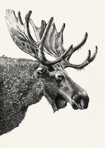 Moose - Giclée Print