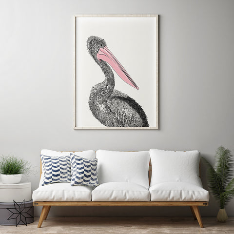 Australian Pelican - Giclée Print