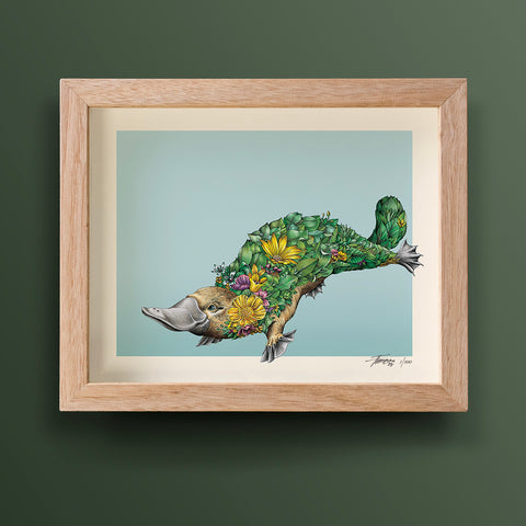 Platypus Bushwalk – Giclée Print