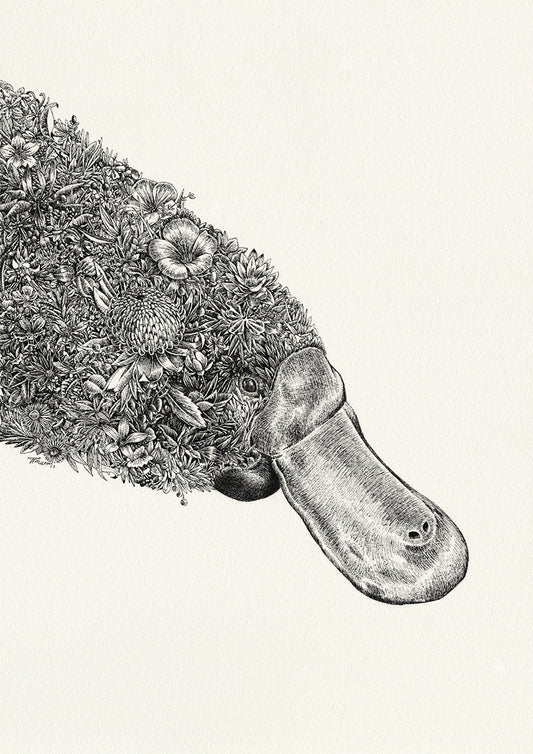 Platypus - Giclée Print