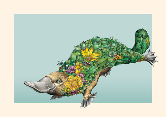 Platypus Bushwalk – Giclée Print