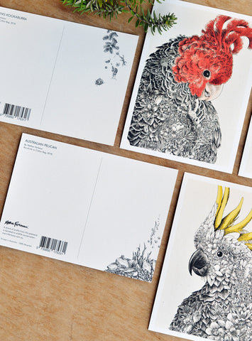 Australian Birds - Postcard Set