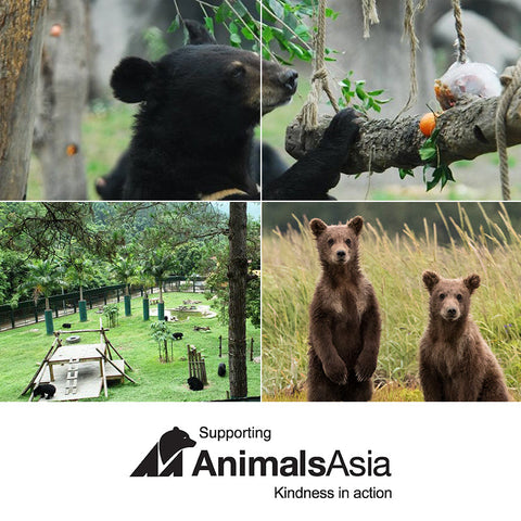 Bear & Cubs – Special Edition Print