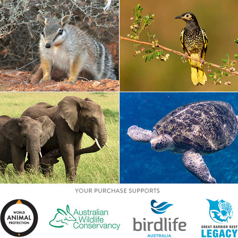 Scarf – Australian Wildlife