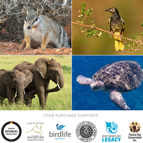 Wildlife of Australia - Greeting Card Set (SALE!)