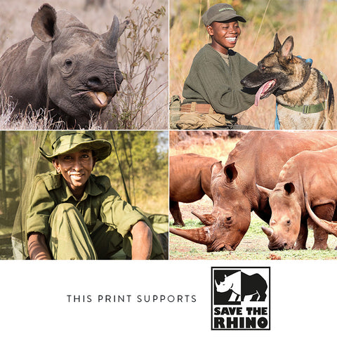 Black Rhino / Africa - Framed (Pick Up In-store Only)