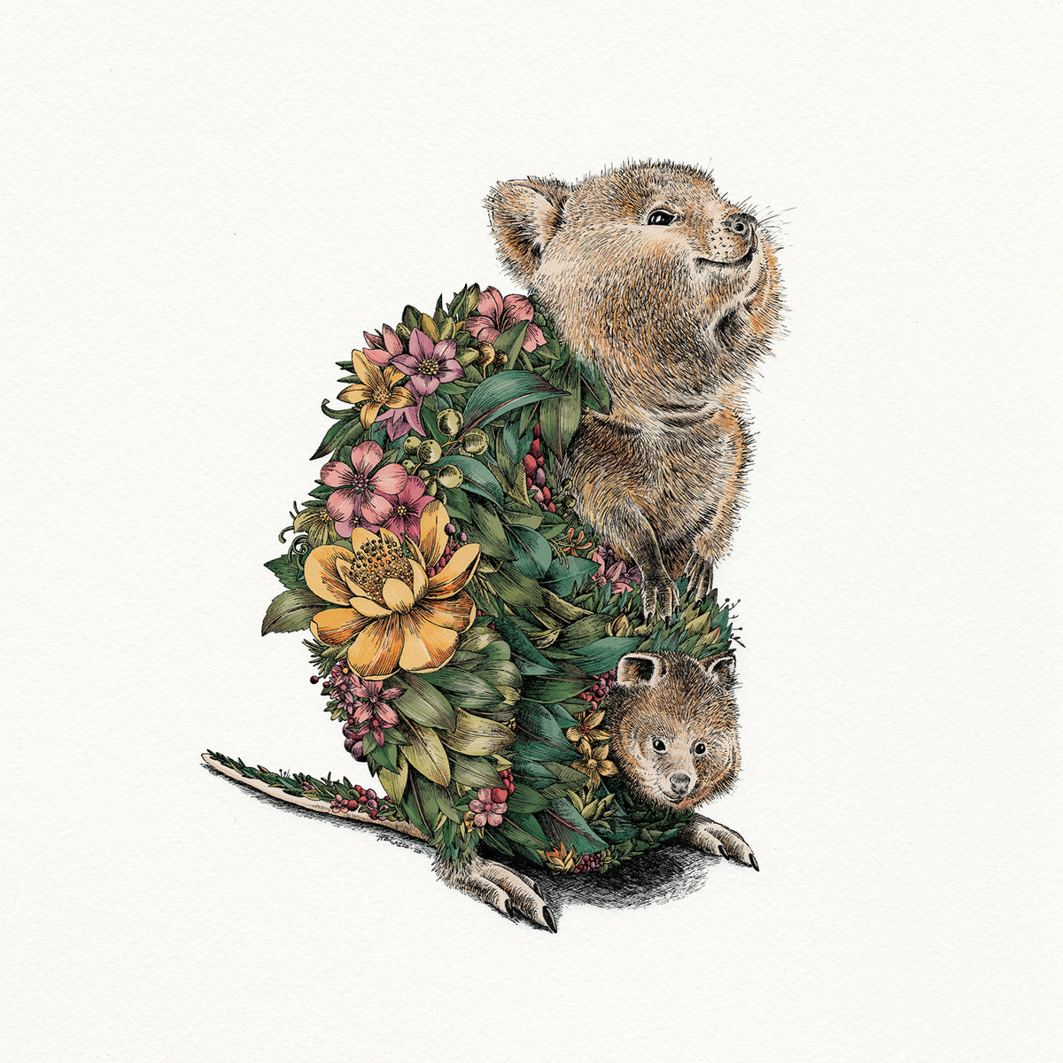 Quokka & Joey - Giclée Print
