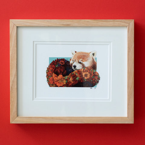 Red Panda – Edition 1 Giclée Print