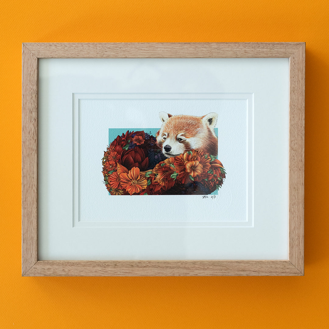 Red Panda – Edition 2 Giclée Print