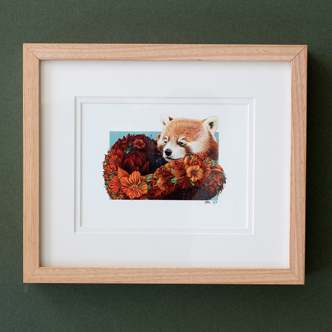 Red Panda – Edition 3 Giclée Print