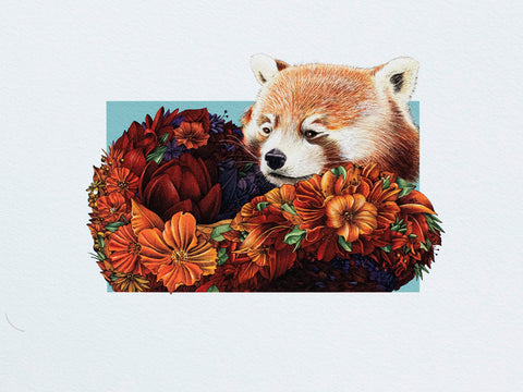 Red Panda – Edition 2 Giclée Print