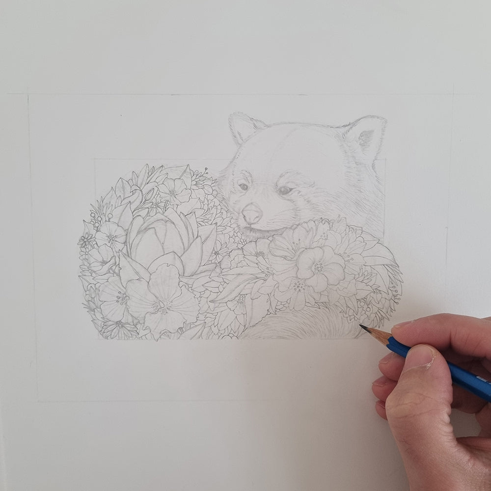 Red Panda – Edition 1 Giclée Print