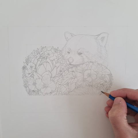 Red Panda – Edition 2 Giclée Print