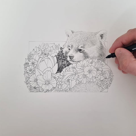 Red Panda – Edition 2 Giclée Print