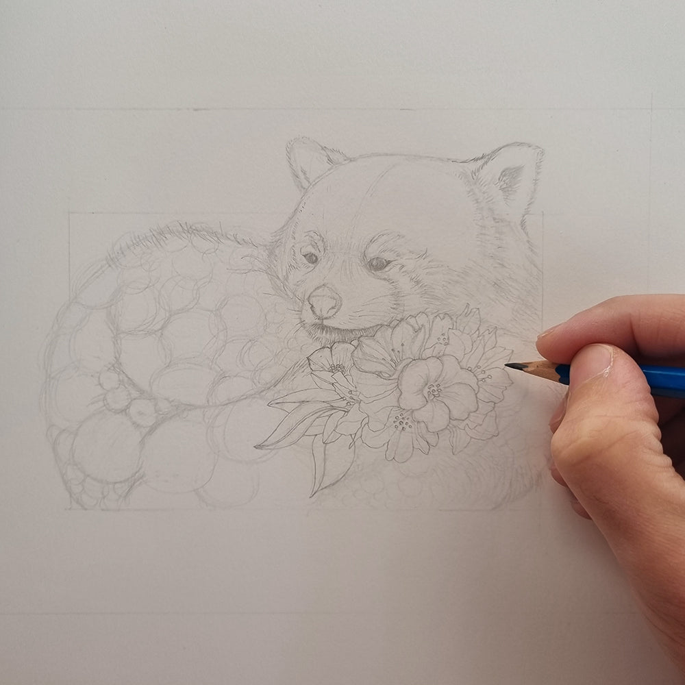 Red Panda – Edition 3 Giclée Print
