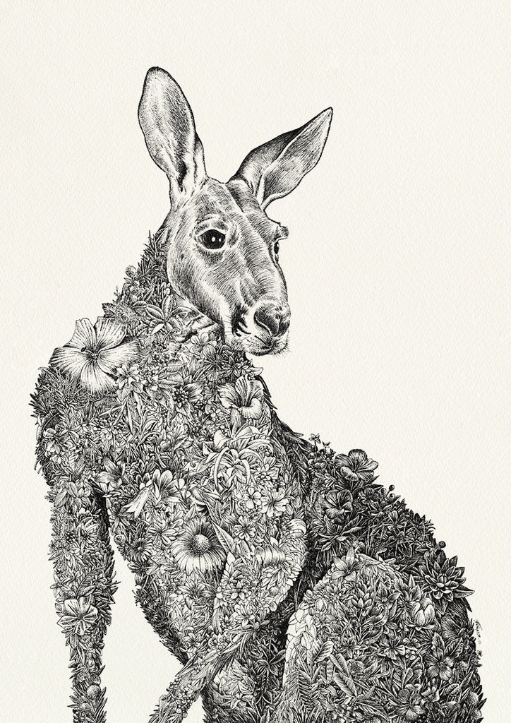 Red Kangaroo - Giclée Print